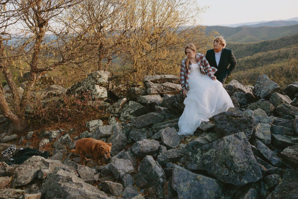 couple waiting on dog at sunrise in shenandoah national park on wedding morning
